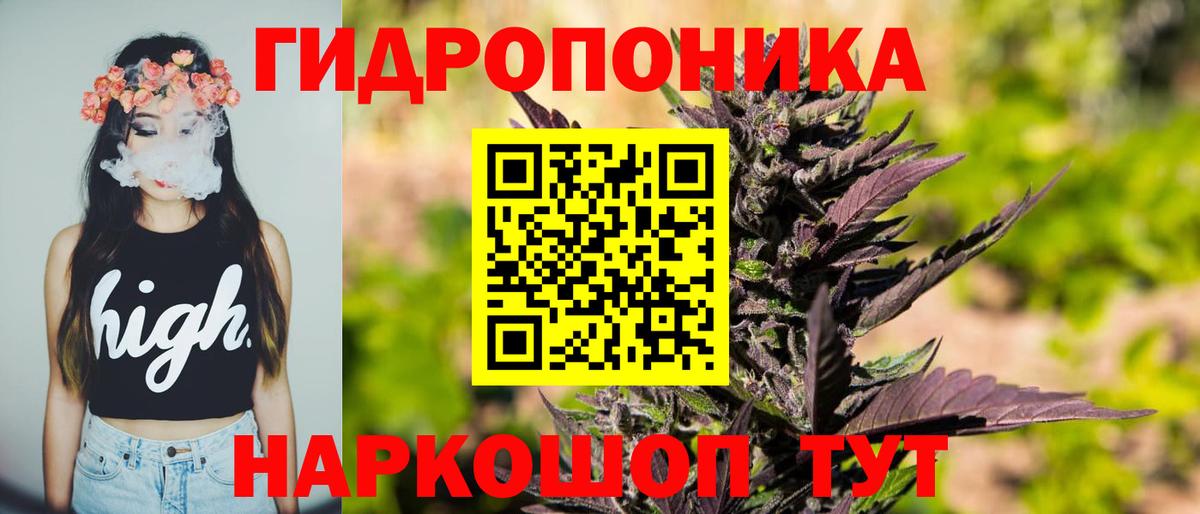 МАРИХУАНА конопля Старый Оскол